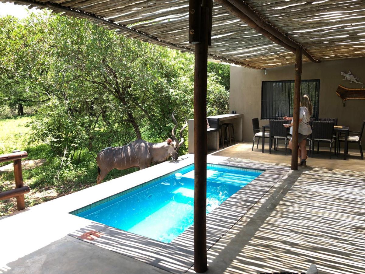 Kruger Willows マールロス・パーク エクステリア 写真